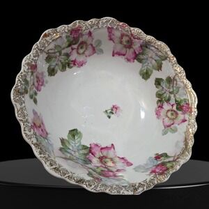 VTG Porcelain RC Malmaison Bavaria Rosenthal Pink Roses 10" Serving Bowl